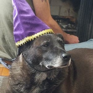 Meet your Posher, Lori